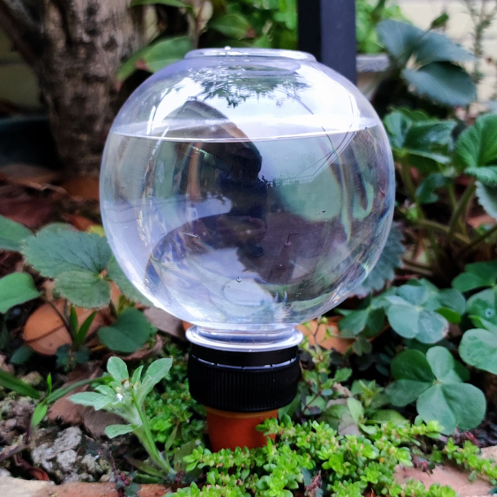 4-teiliges Automatisches Bewäs – Gardening Tools Green Bewertung und Preis