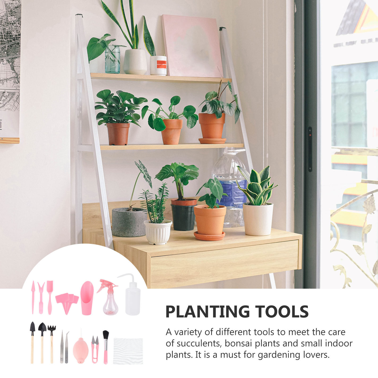 1 Set Mini-Sukkulenten-Pflanzw – Gardening Tools Set Bewertung und Preis