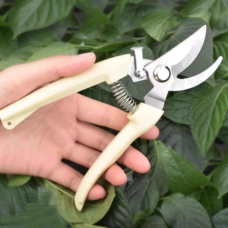 Startseite Pflanzenetiketten M – Gardening Tool Diy Bewertung und Preis