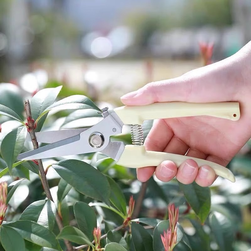 Startseite Pflanzenetiketten M – Gardening Tool Diy Bewertung und Preis