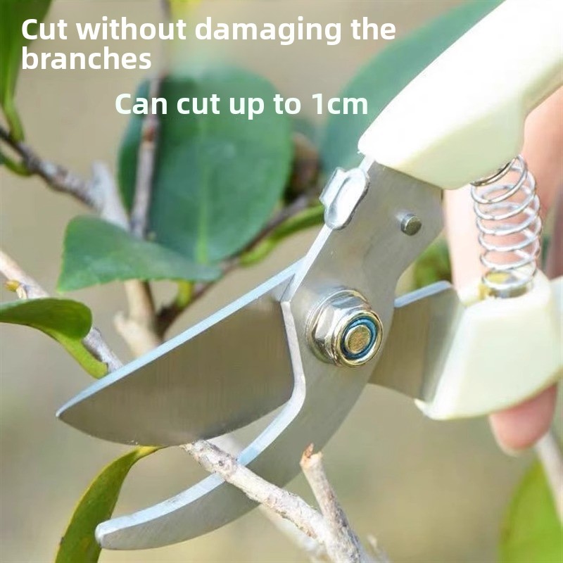 Startseite Pflanzenetiketten M – Gardening Tool Diy Bewertung und Preis