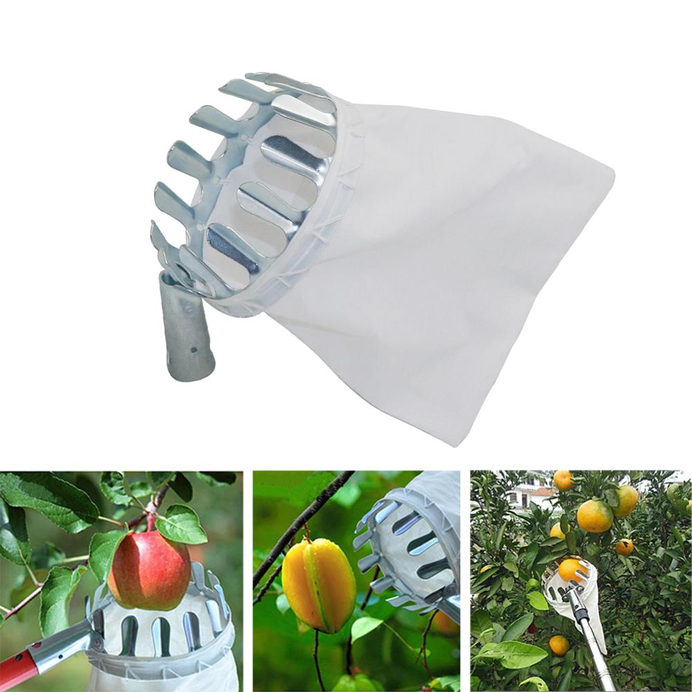 Garten Beschneiden Obst Picker – Gardening Tools Long Bewertung und Preis