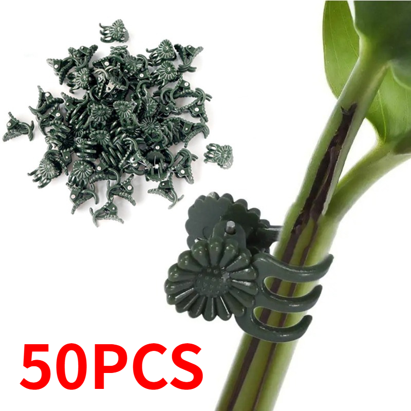 50 Stück 5-Klauen dunkelgrüne  – Gardening Tools Green Bewertung und Preis