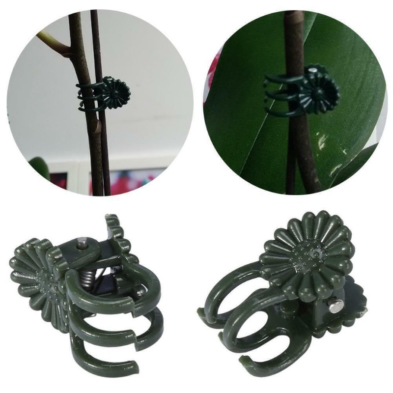 50 Stück 5-Klauen dunkelgrüne  – Gardening Tools Green Bewertung und Preis