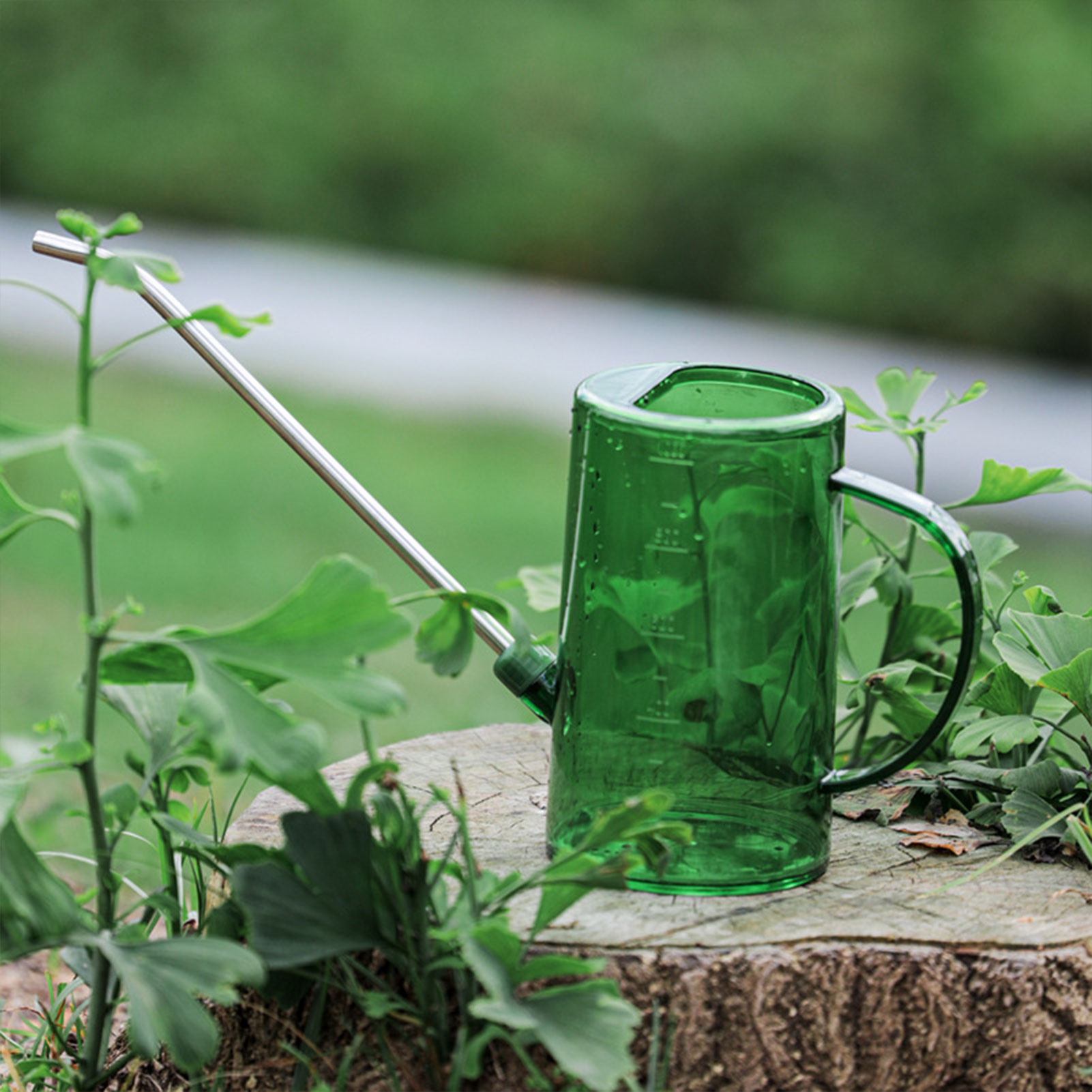1L/1,5L Gießkanne für Zimmerpf – Watering Can Long Spout Bewertung und Preis