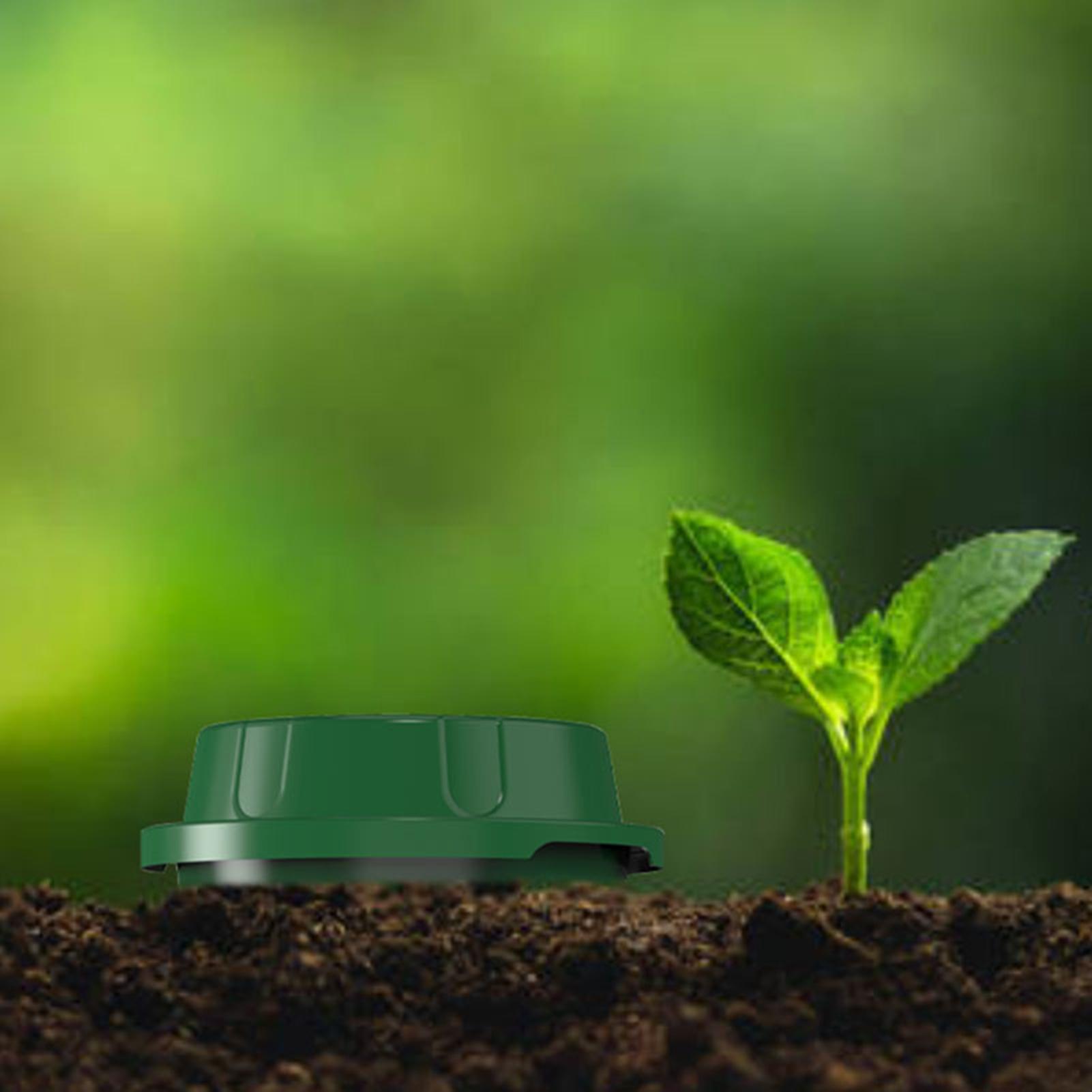Eingelassener Wurmkomposter mi – Compost Bin Bewertung und Preis