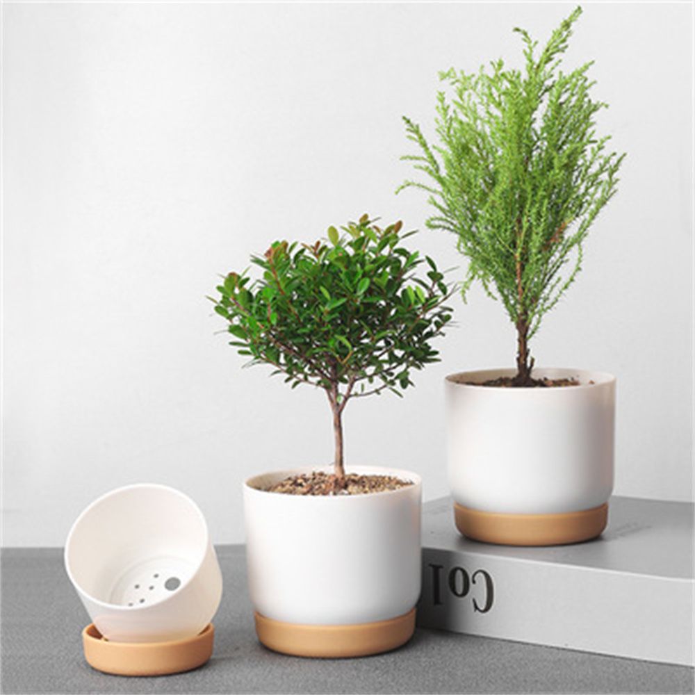 Runder Grünpflanzen-Blumentopf – Gardening Tools Green Bewertung und Preis