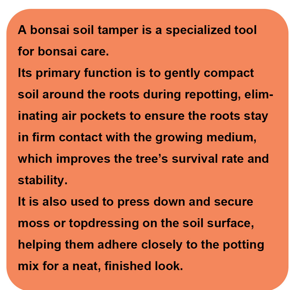 Bonsai-Werkzeuge 160 / 200 / 2 – Gardening Tools Pink Bewertung und Preis