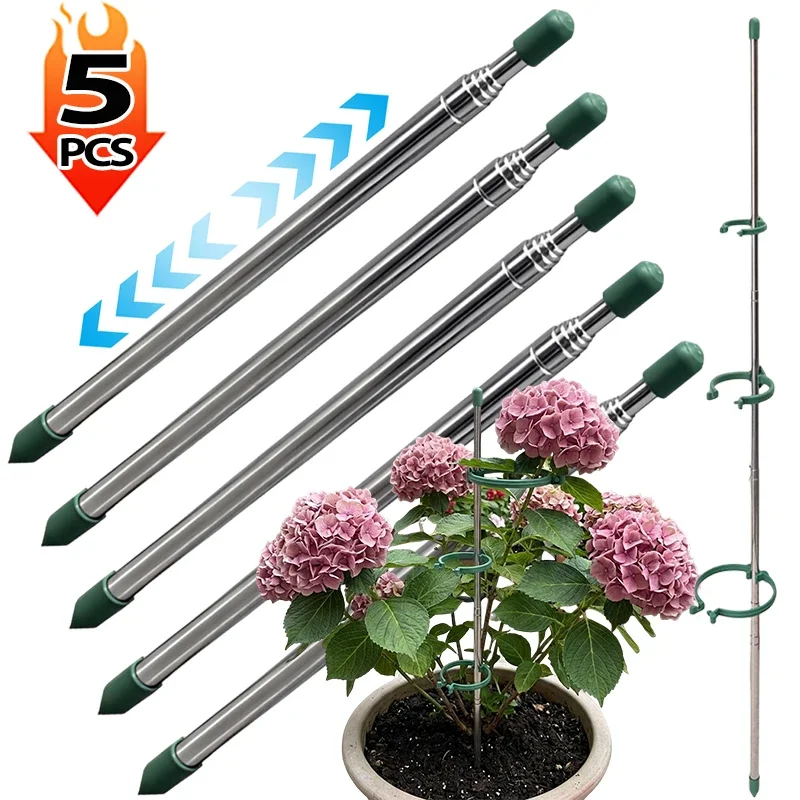 5/1 Stück Einziehbarer Pflanze – Gardening Tools Green Bewertung und Preis