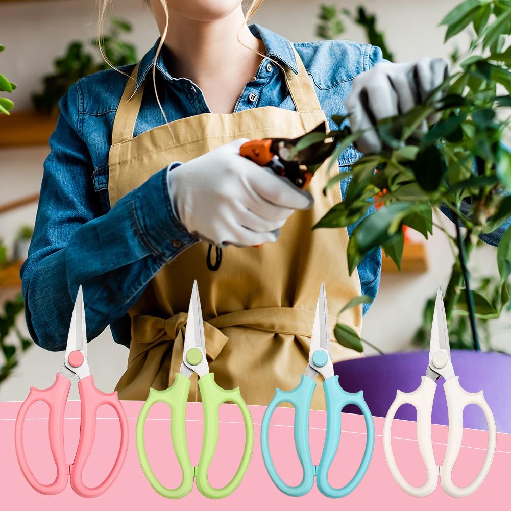 Professionelle Bonsai-Schere G – Gardening Tools Pink Bewertung und Preis