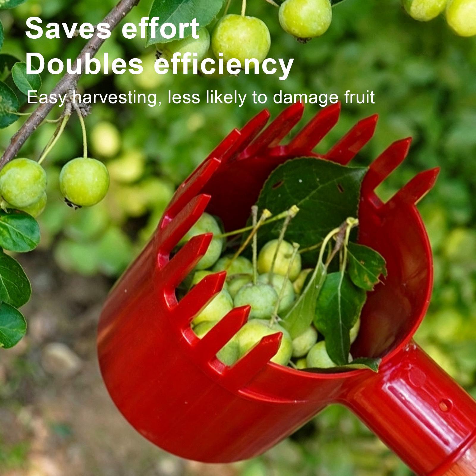 Fruchterntewerkzeug aus verdic – Gardening Tools Long Bewertung und Preis