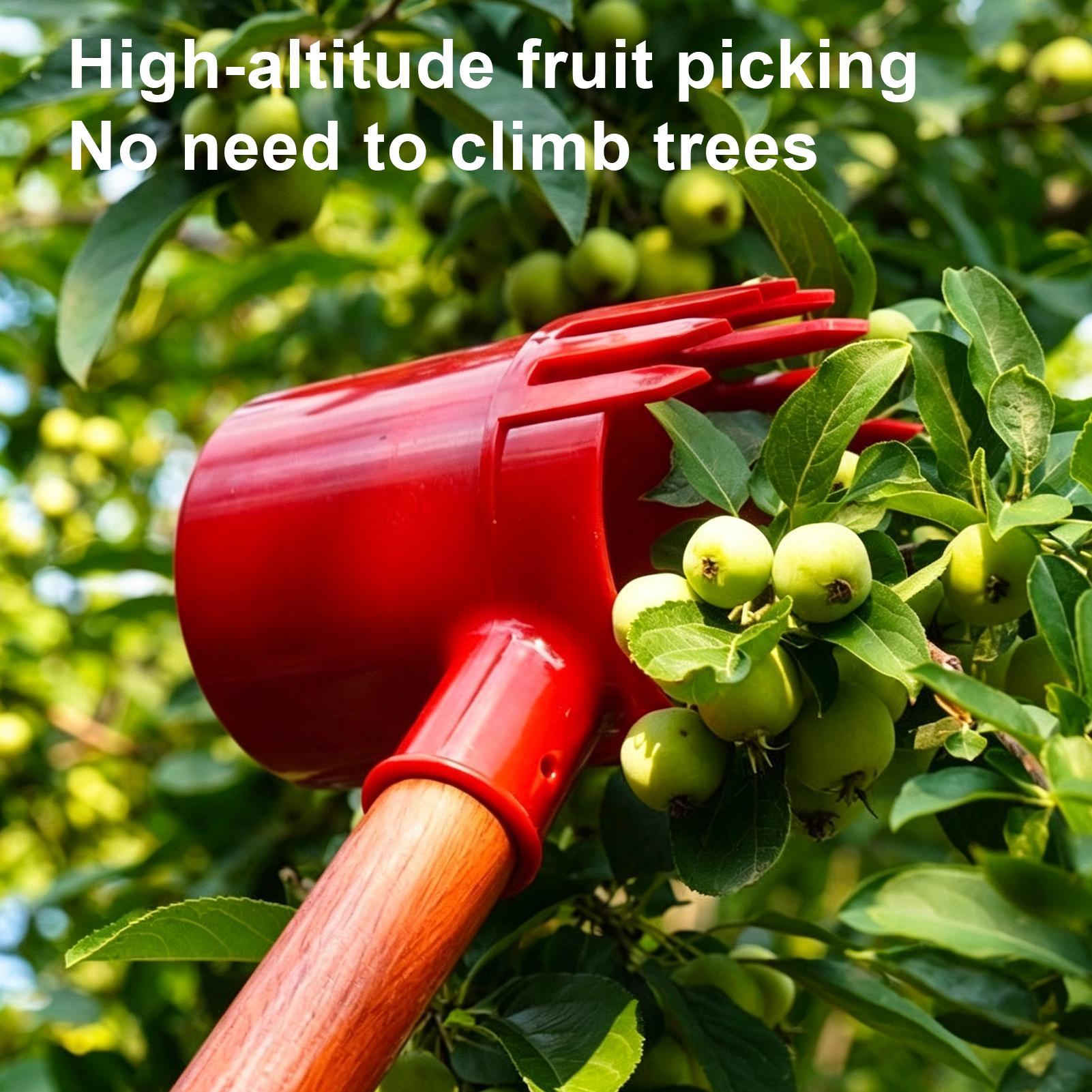 Fruchterntewerkzeug aus verdic – Gardening Tools Long Bewertung und Preis