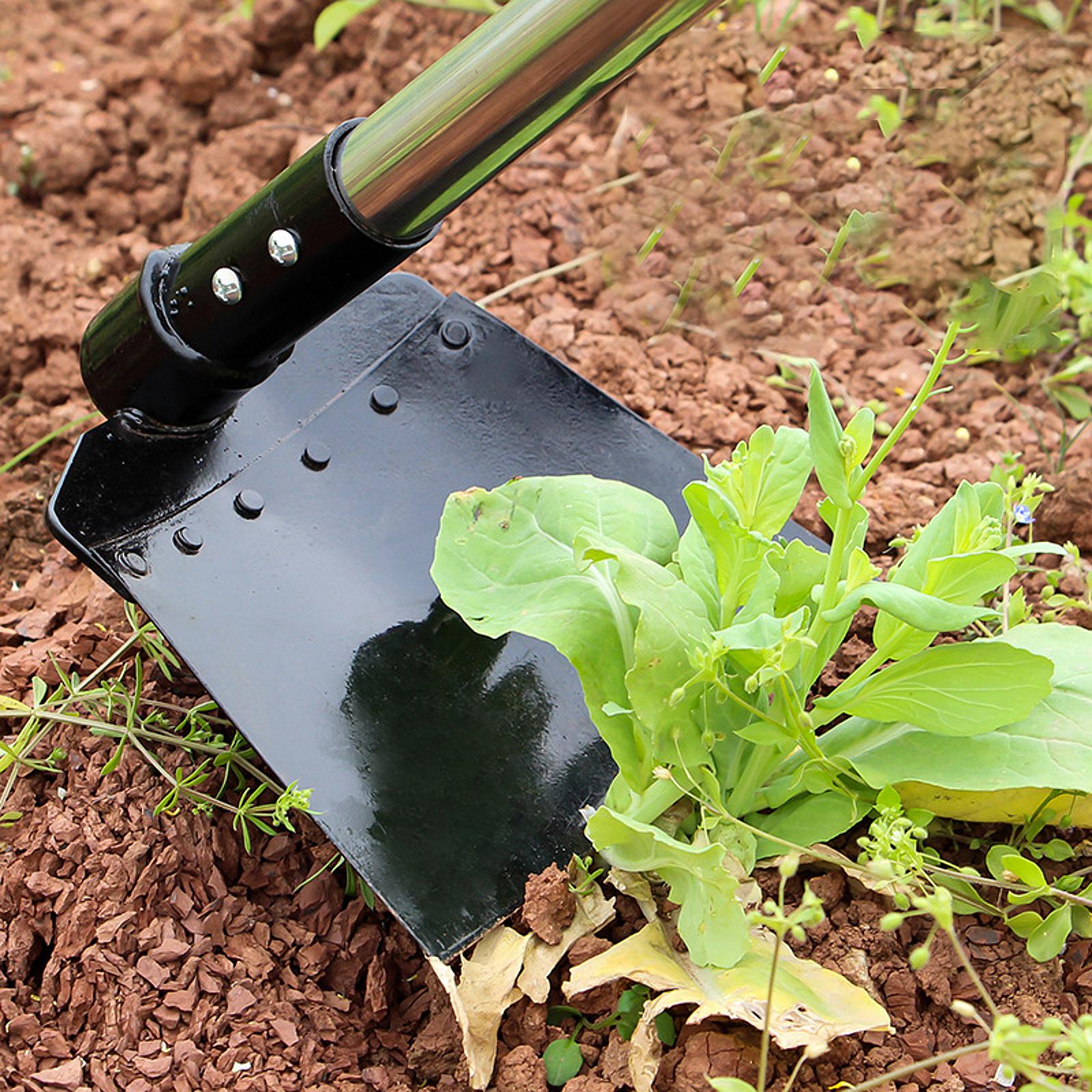 Unkraut-Sichelhacke, verstellb – Gardening Tools Long Bewertung und Preis