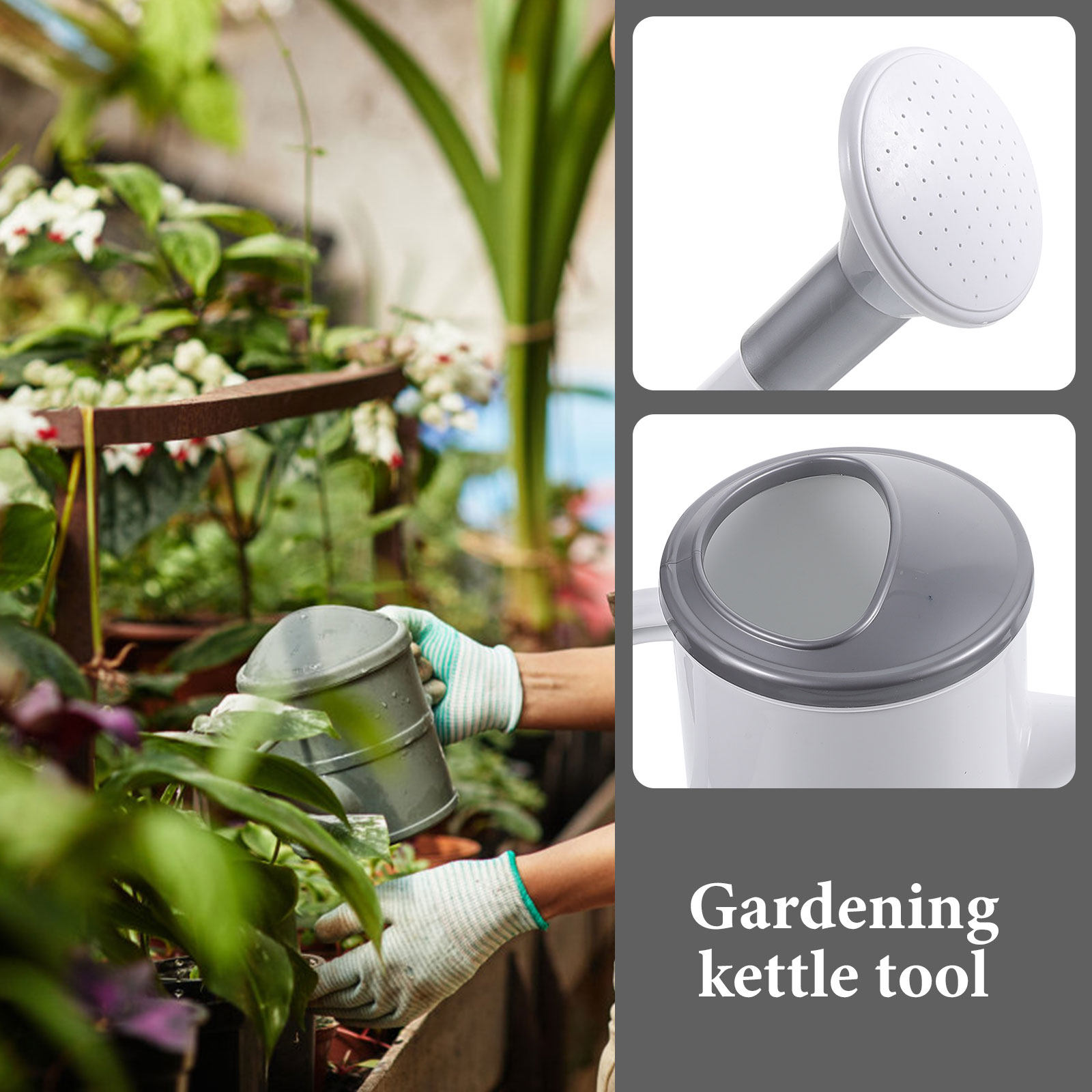 Haushalts-Gießkanne mit langem – Watering Can Long Spout Bewertung und Preis