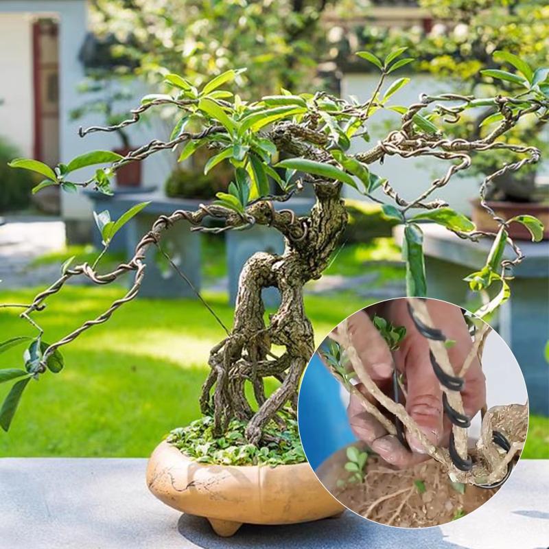 10 m Aluminium-Bonsai-Training – Gardening Tool Diy Bewertung und Preis