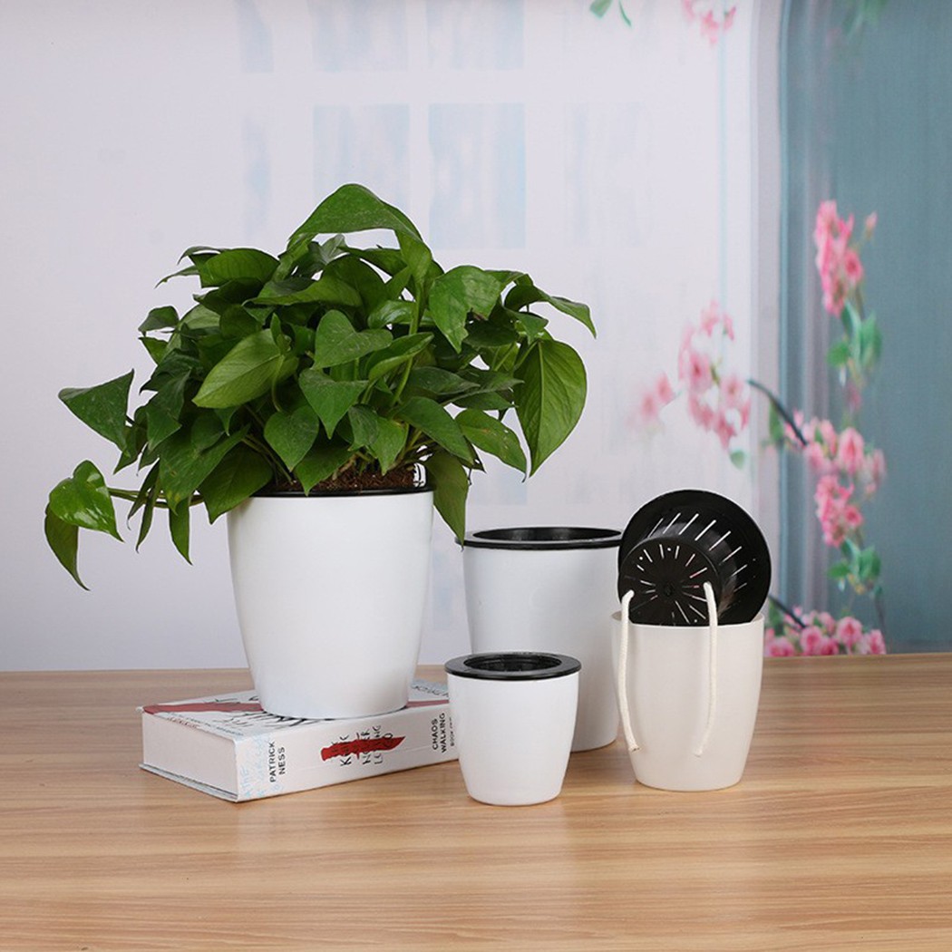 Automatische Bewässerung Blume – Gardening Tools Green Bewertung und Preis
