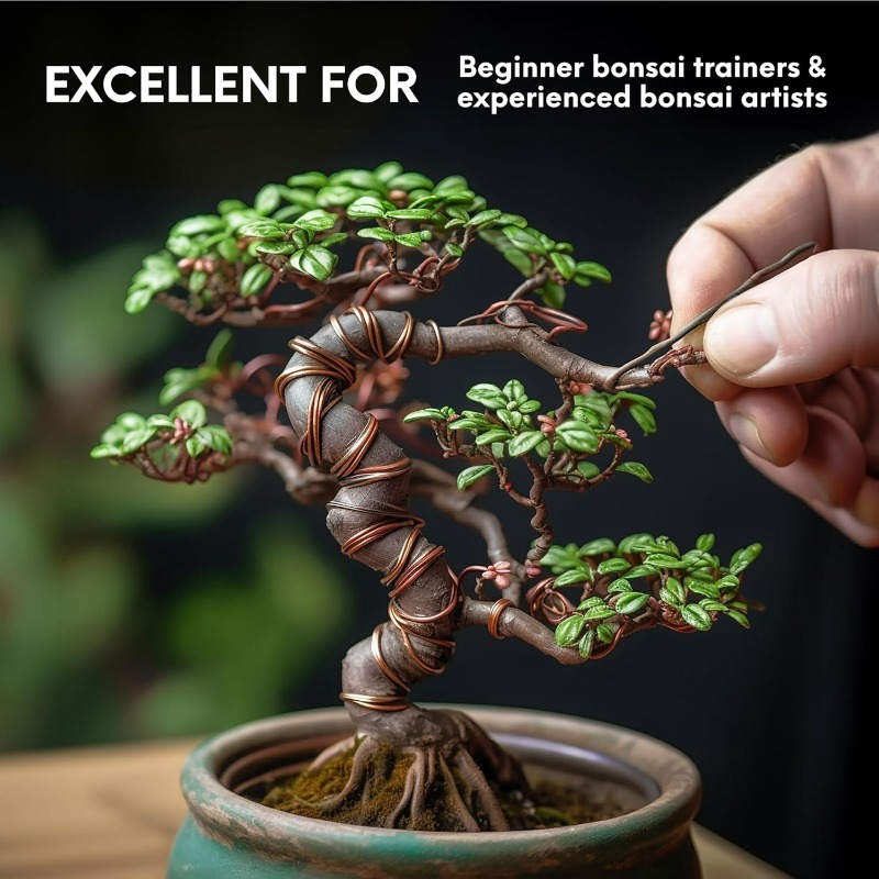 5M Bonsai-Trainingsdraht-Set f – Gardening Tool Diy Bewertung und Preis