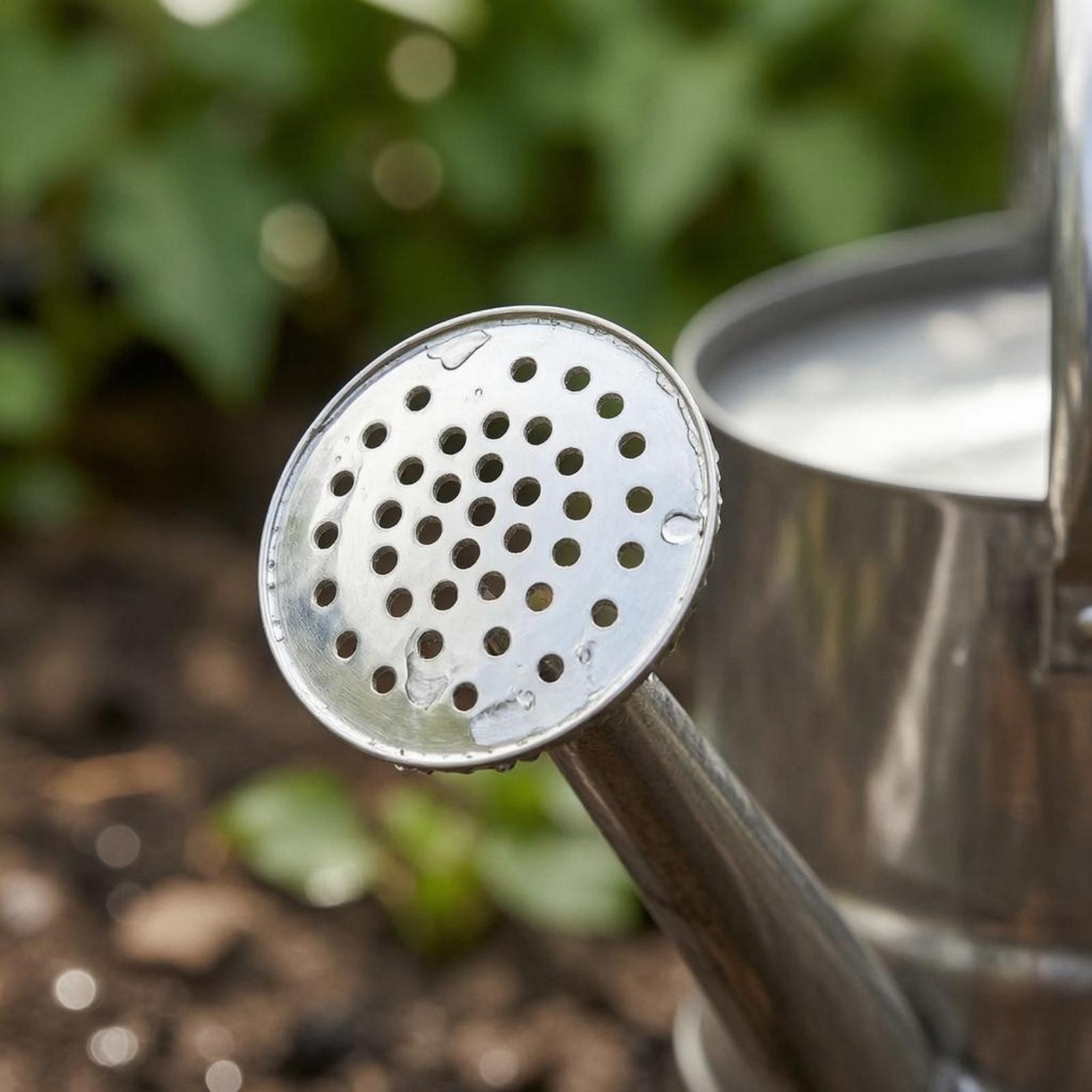 Garten-Blumen-Gießkanne aus Ed – Gardening Tools Long Bewertung und Preis