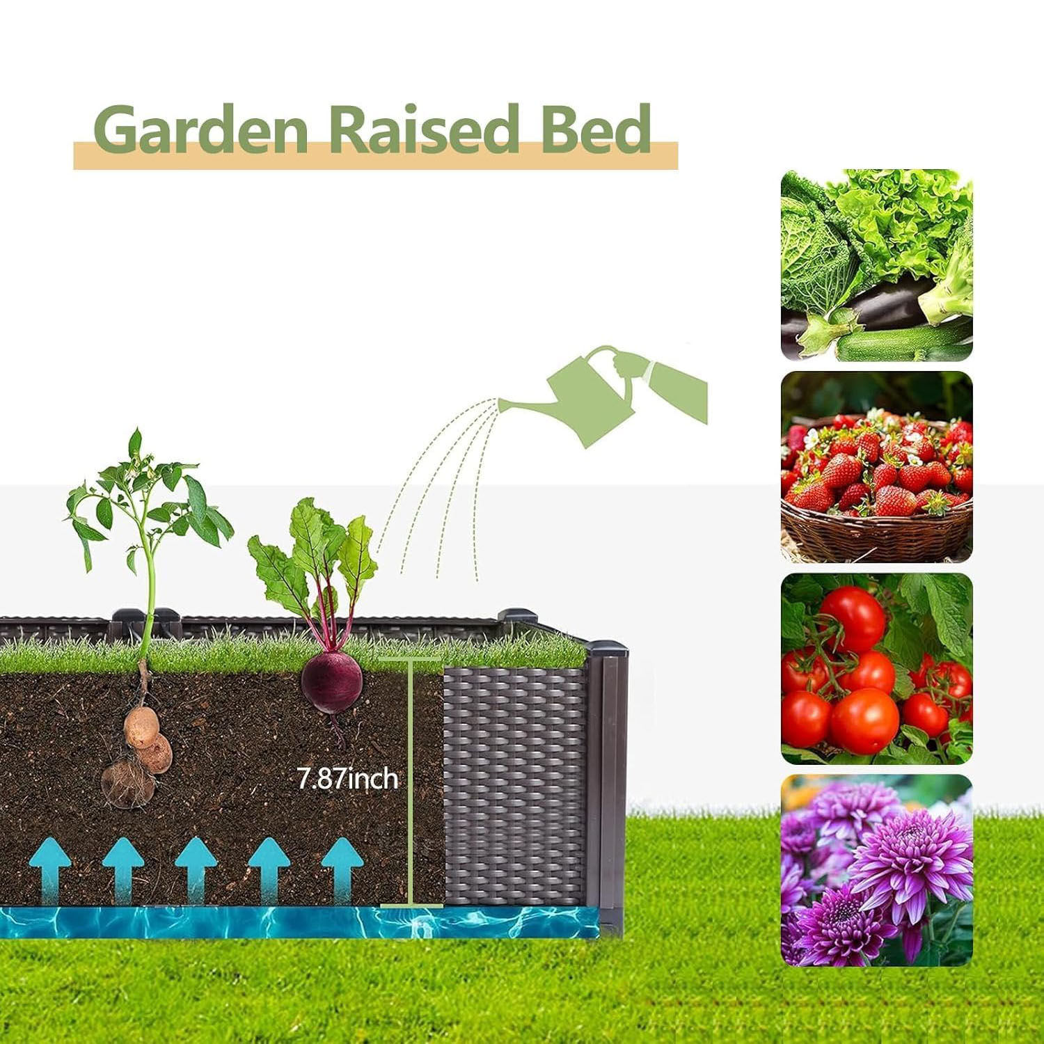 Selbstbewässerndes Hochbeet –  – Gardening Tools Green Bewertung und Preis